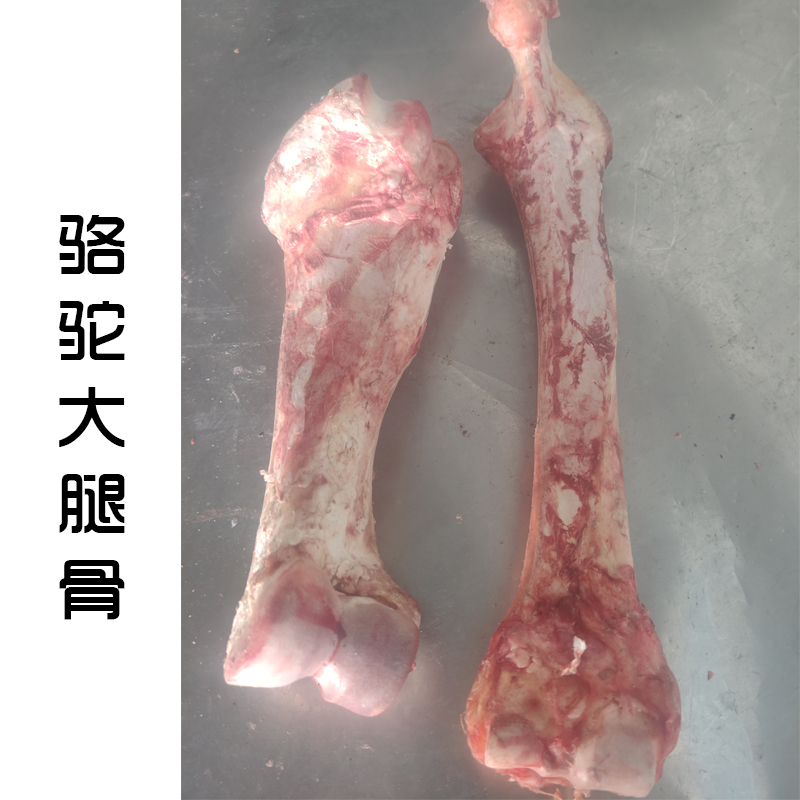 【驼骨原材料】正宗骆驼棒骨小腿骨大腿骨工艺用非食用包邮