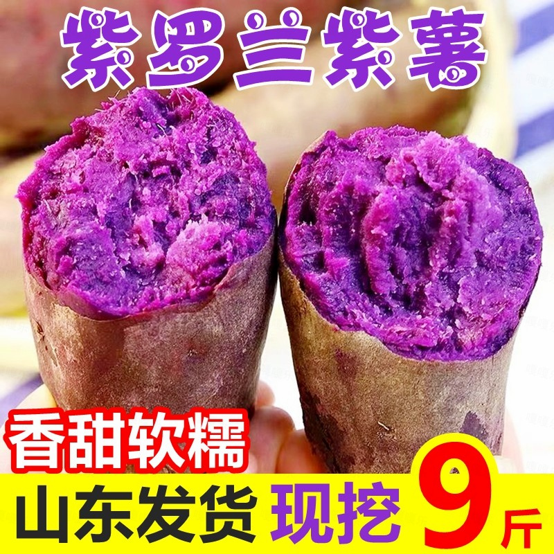 【新店半价抢】新鲜沙地紫薯1-9斤番薯粉糯香甜板栗红薯蜜薯山芋