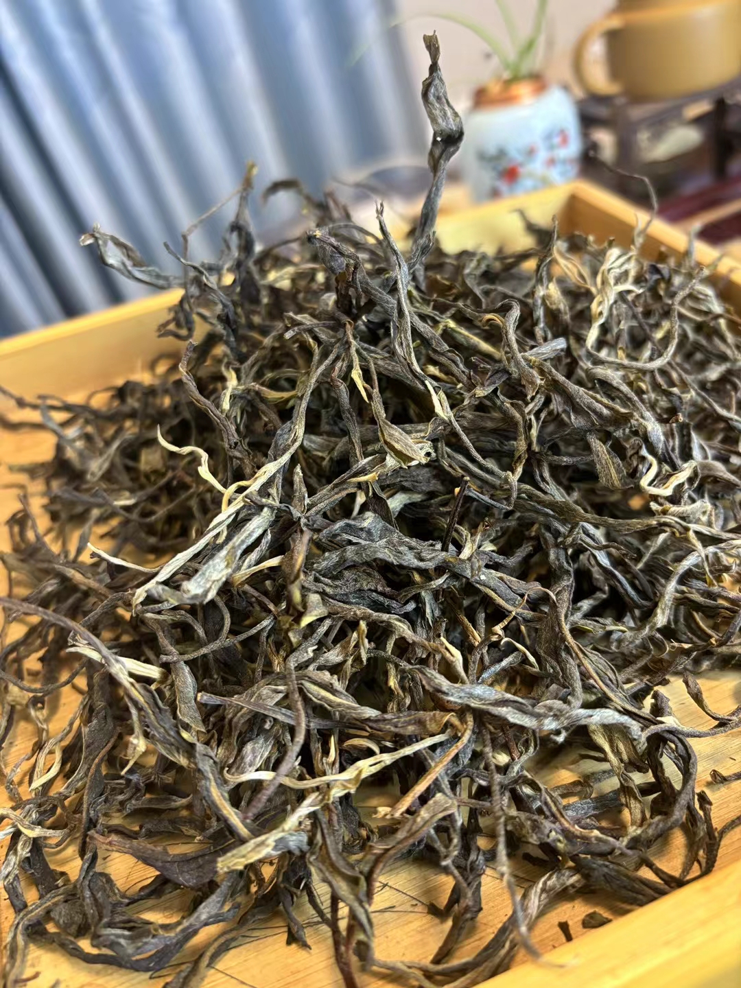 懂过头春古树克装正春2024年散茶通用茶叶生茶袋装云南源头普洱茶