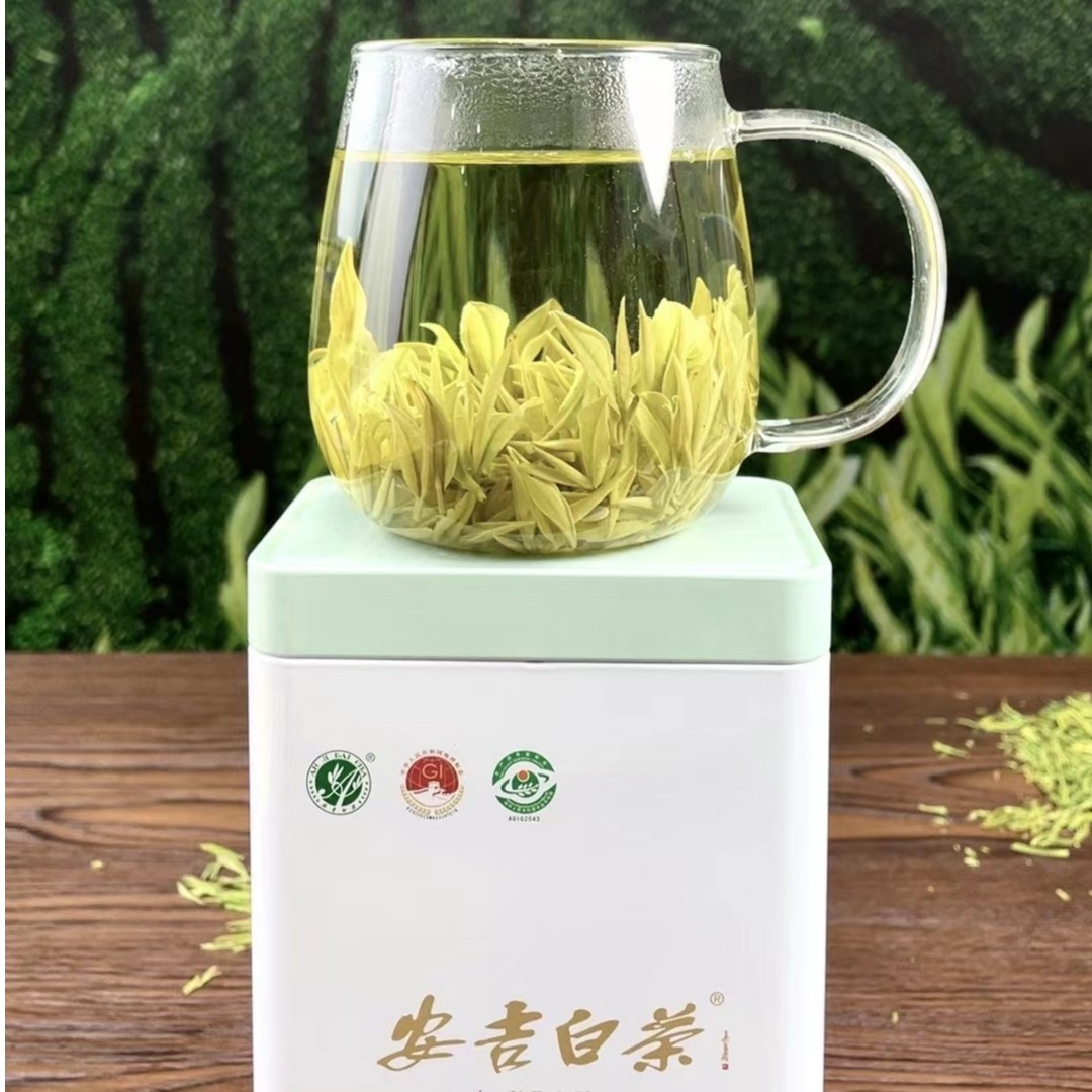 【2025新茶】安吉原产地高山 明前白茶，口感舒适，香味怡人！兰花香浓
