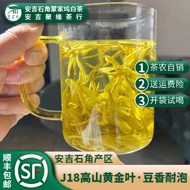 【2025新茶】安吉高山手工黄金叶，浓郁豆香，茶香味浓！