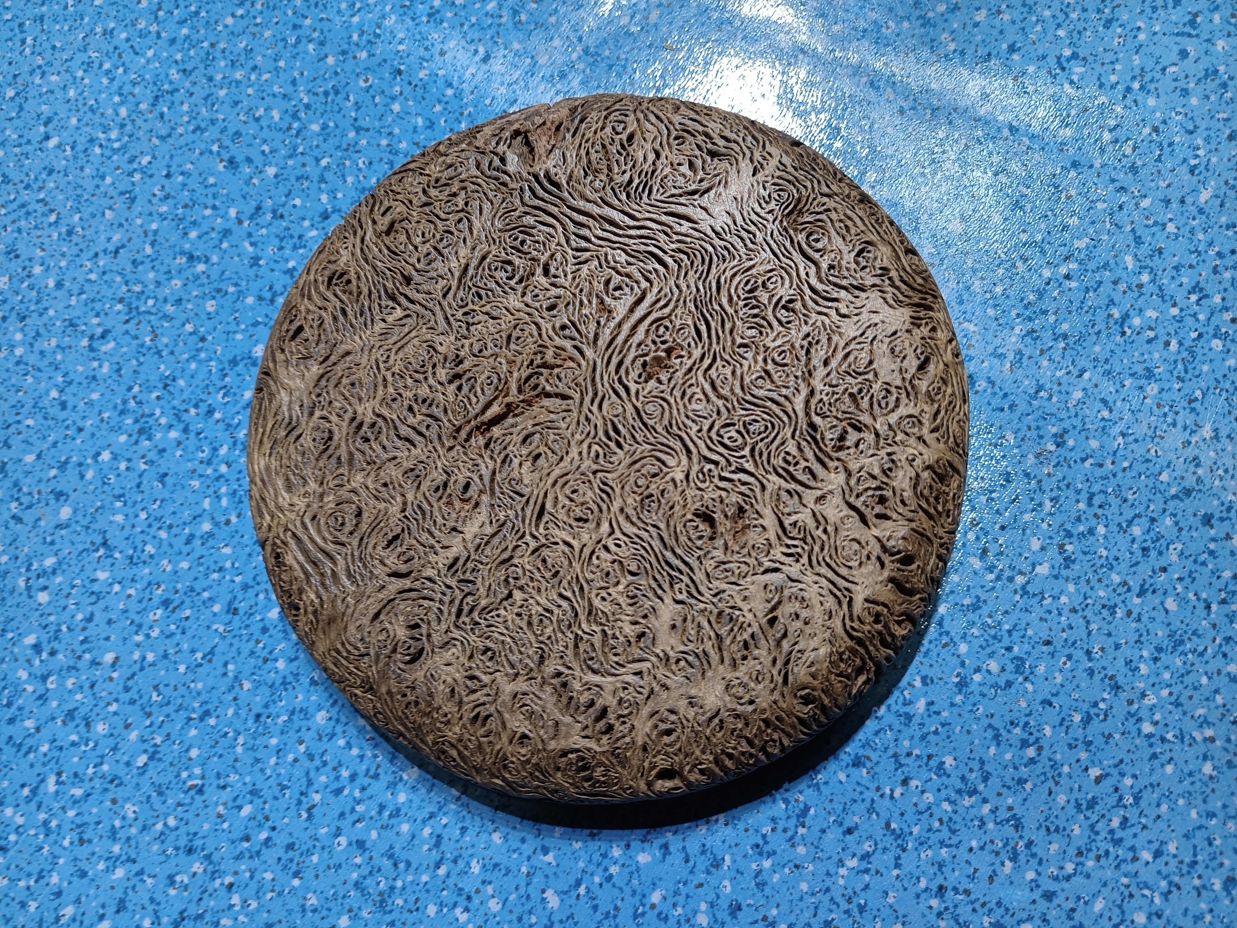 风化木栎木盘子直径14厘米手工