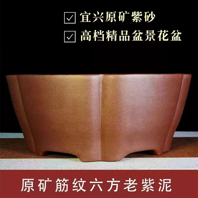 原矿筋纹老紫泥南瓜盆精品紫砂花盆手工盆景菖蒲松柏树黑松老桩盆