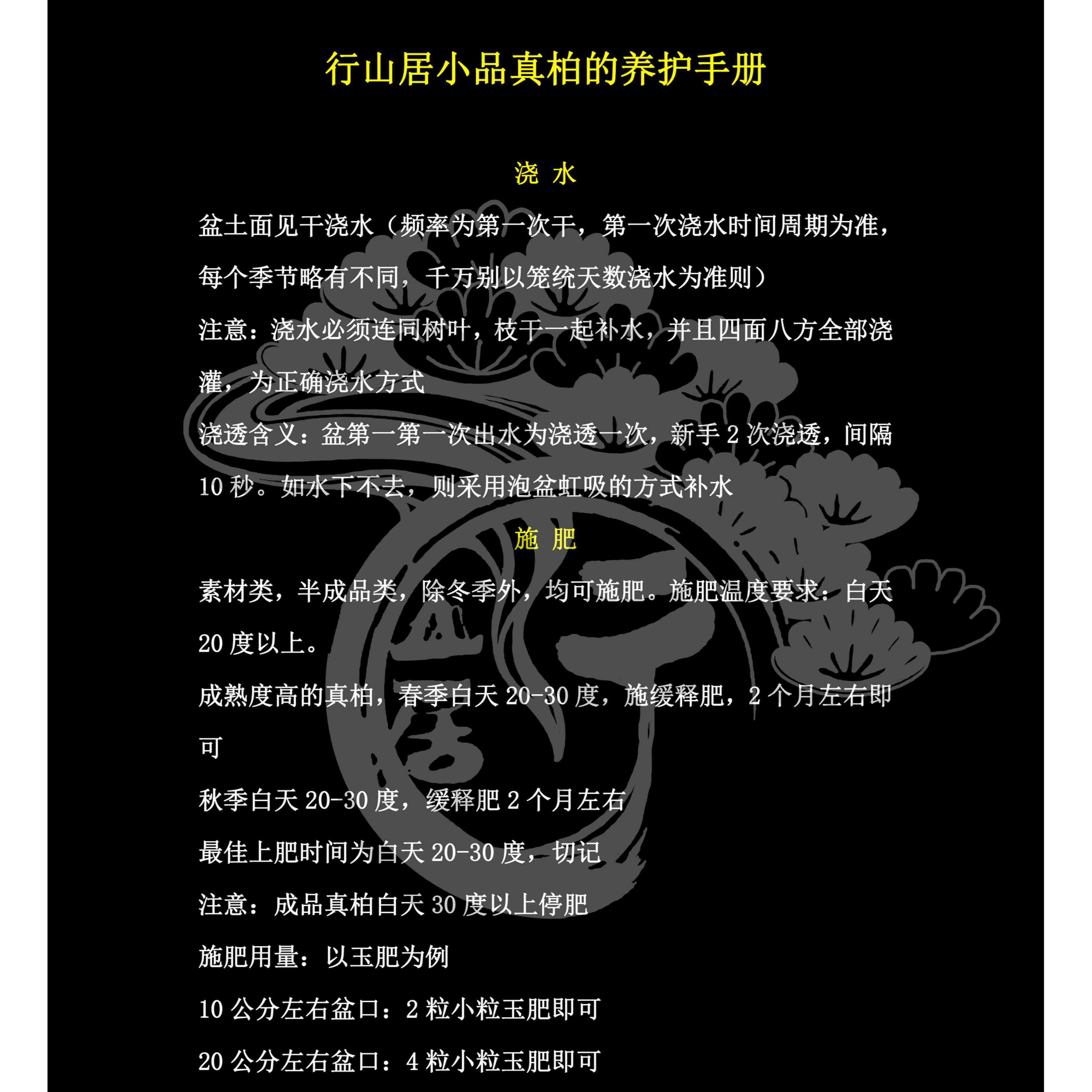 直播链接行山居盆景小真柏盆栽柏树盆景