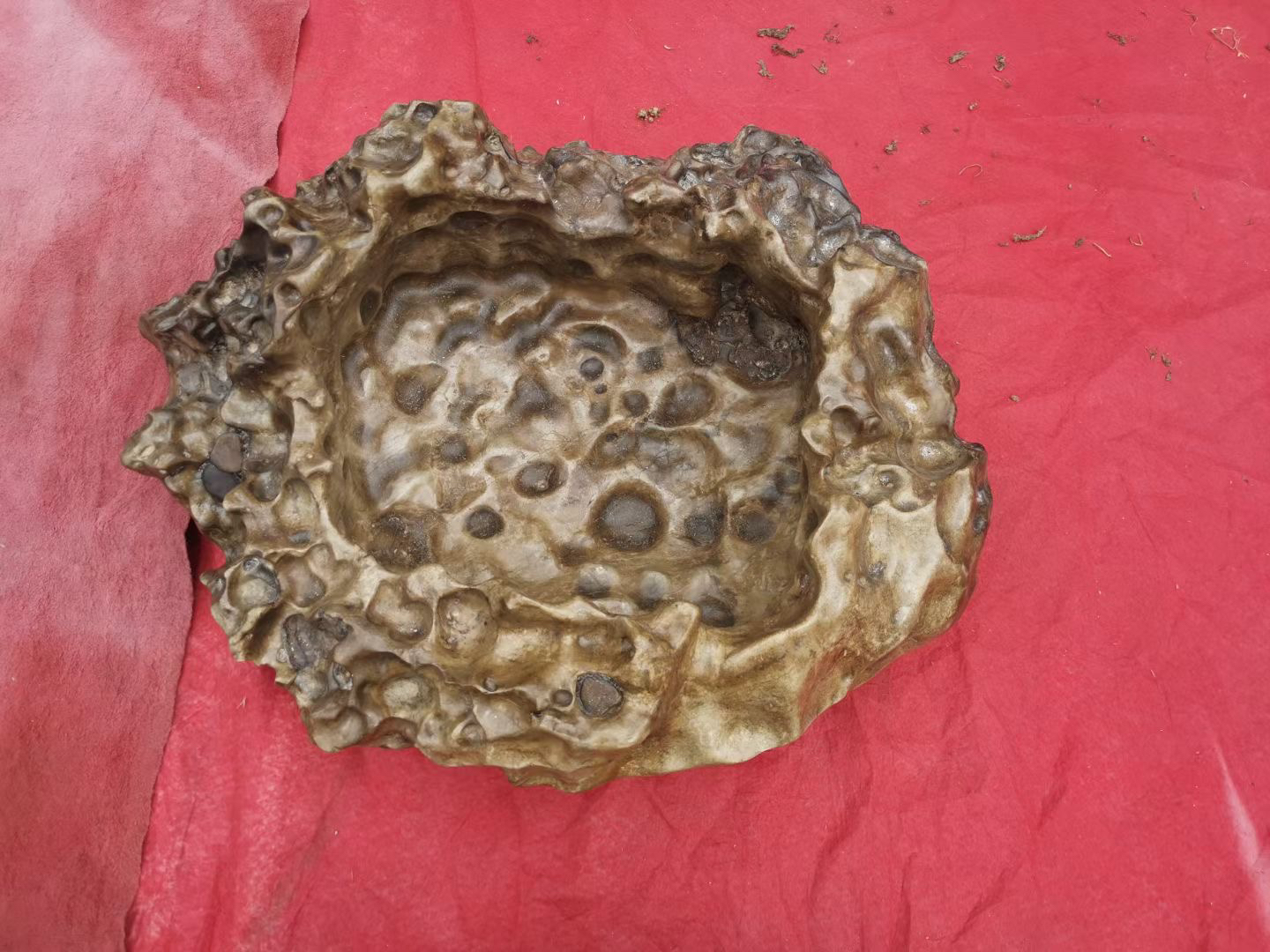 直播间专用链接，来宾北丹石