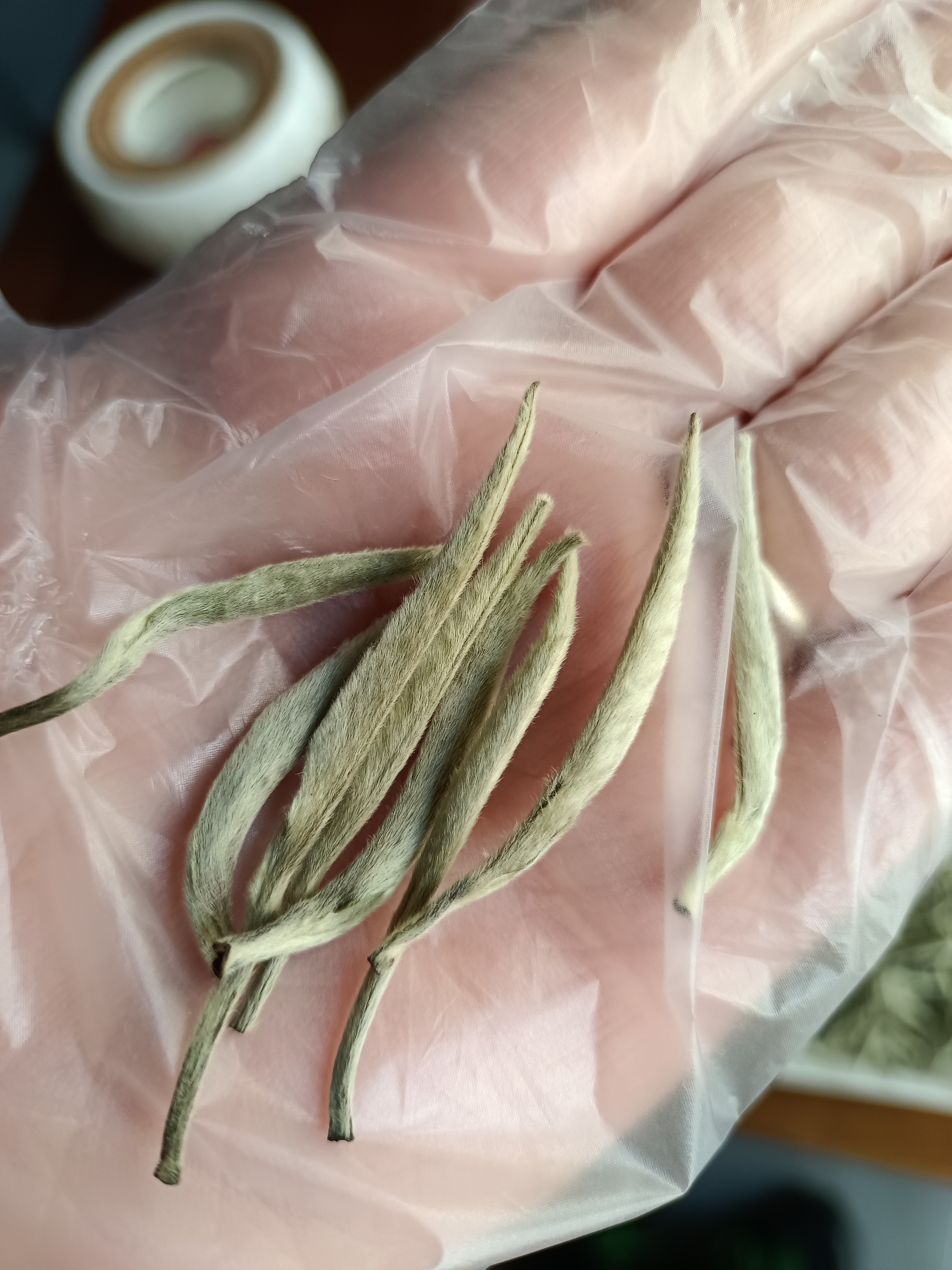 云南白茶白毫银针2023春头采茶 云南月光白银针茶