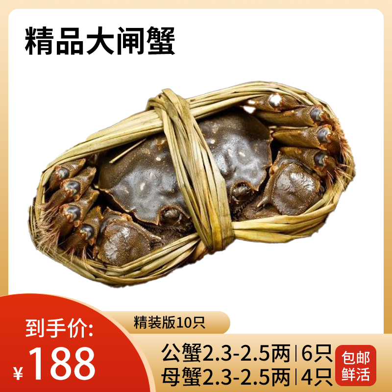 【活蟹现发】江苏大闸蟹公2.3-2.5两6只+母2.3-2.5两4只一共10只装