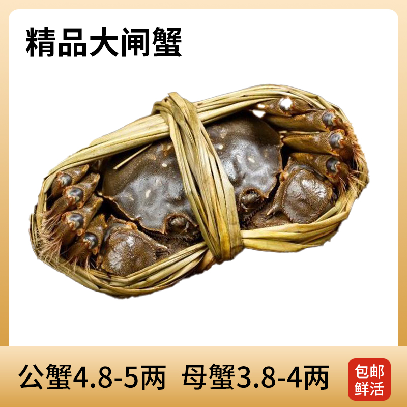【活蟹现发】江苏大闸蟹【4.8-5两公+3.8-4两母】（4-8只装）