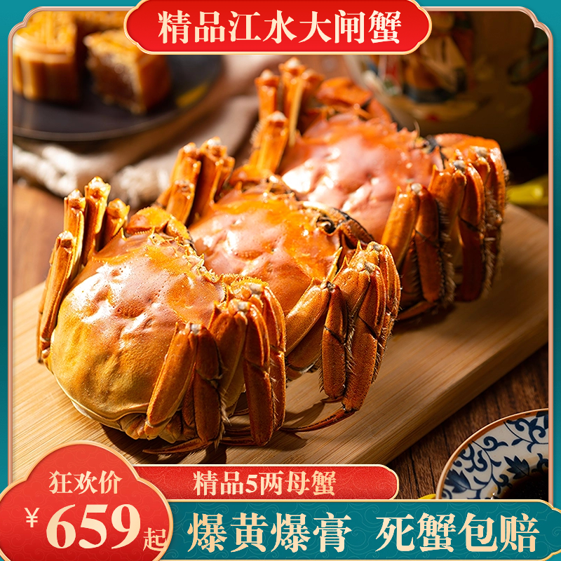 【精选】5两母蟹江水大闸蟹活蟹直发顺丰全国包邮饱满公母
