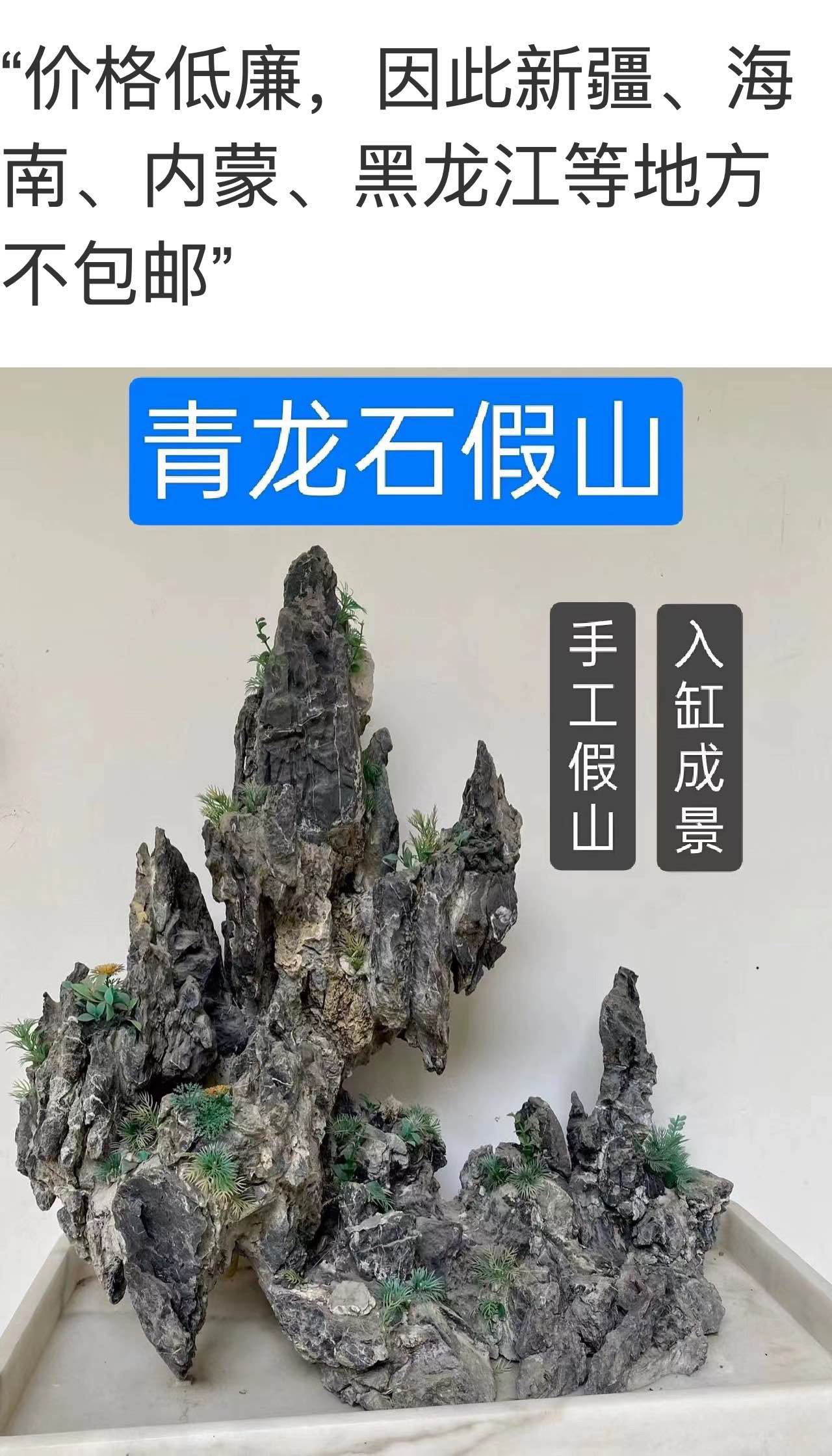 假山水陆缸盆景附树石头青龙石树抱石天然原石造景小型装饰品摆件
