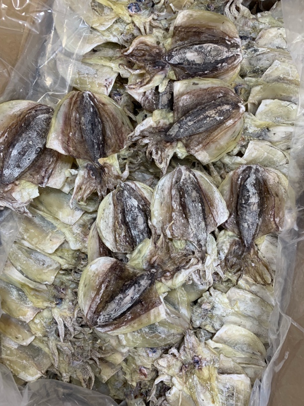 【蚝西施海味】汕尾本港中号墨鱼片干包邮