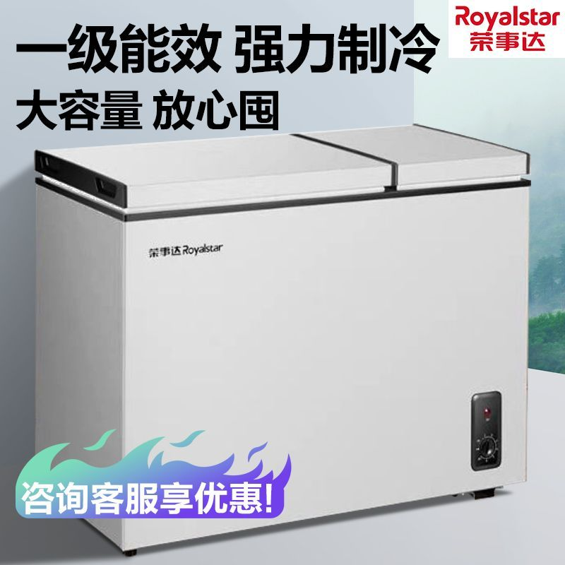 荣事达冰柜双门双温双门家用一级大容量保鲜冷冻藏两用小型冷冻柜