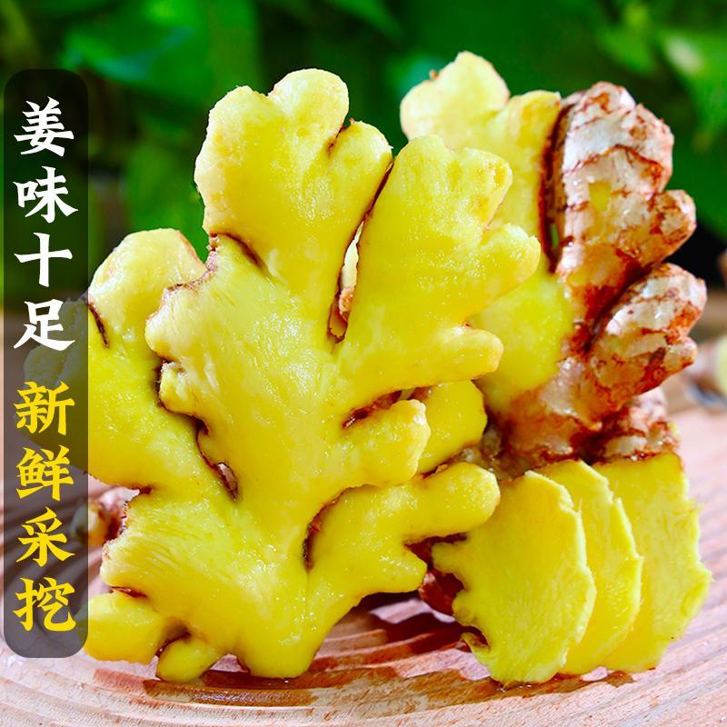 碎姜-品质露天断姜云南黄姜成熟美味产地产品生态原产地种植新鲜
