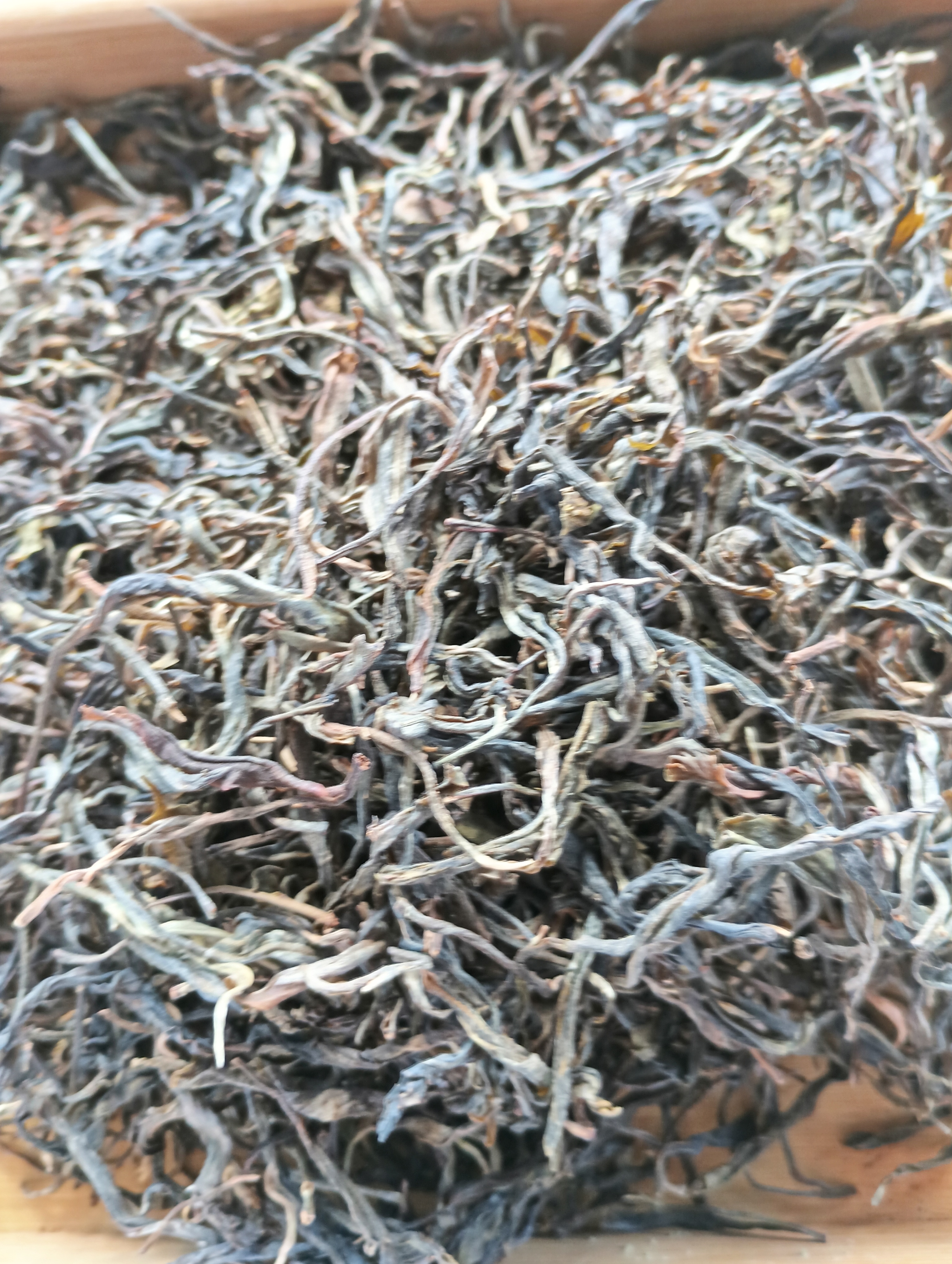 2021年贺开古树单株挑采普洱茶生茶散茶 贺开89号