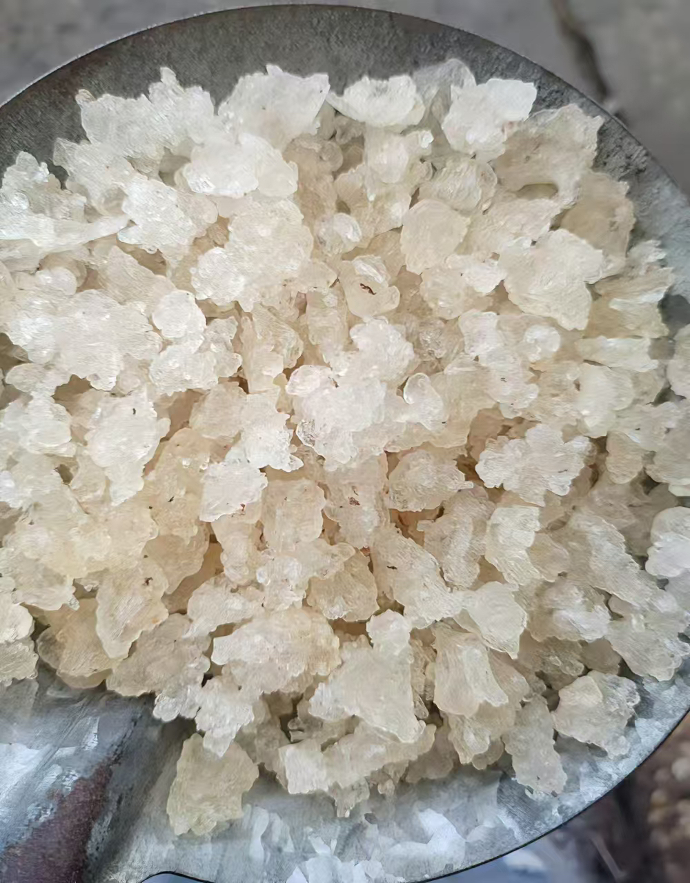 《雪燕》云南高山土特产