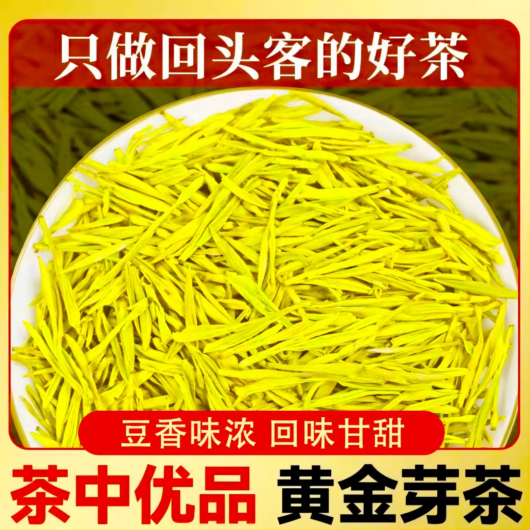 安吉【浓香黄金芽】春茶新茶浓香型明前高豆香味实惠高山口粮茶
