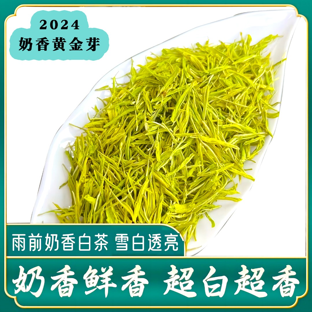 【奶香黄金芽】2024新茶黄金牙白茶高山绿茶明前白茶送礼送长辈首选