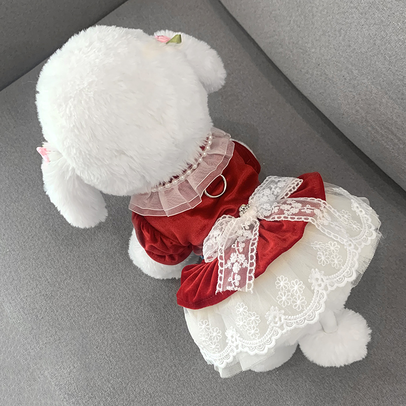 2024新款狗狗衣服宠物猫咪可牵引秋季公主裙泰迪博美比熊小狗裙子