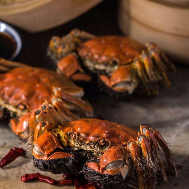 【特大活蟹秋季精品全母大闸蟹】公蟹平3.5两起/母蟹平3两起7~9只