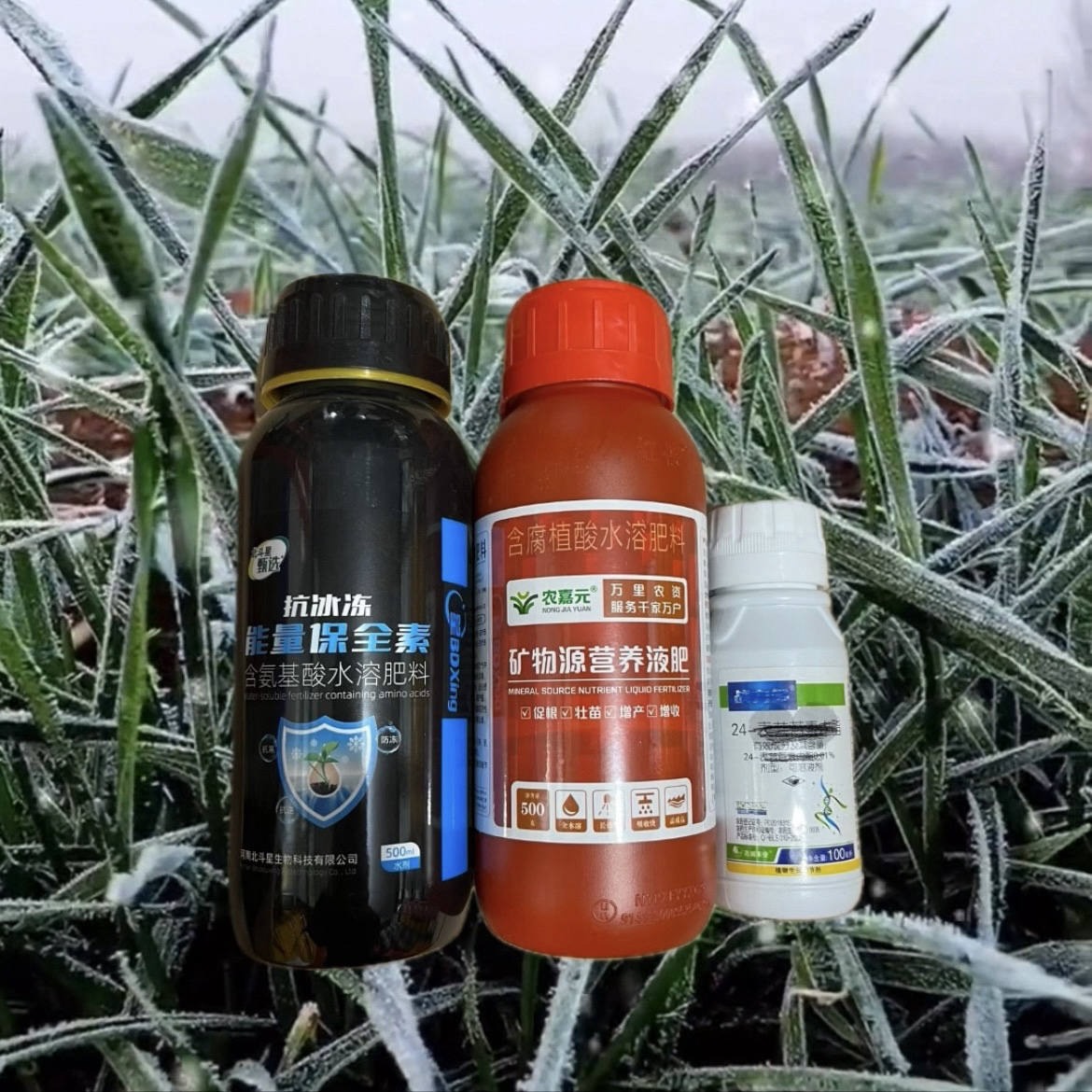 （3瓶十亩地）适用于小麦生根壮苗促分蘖防冻水溶肥