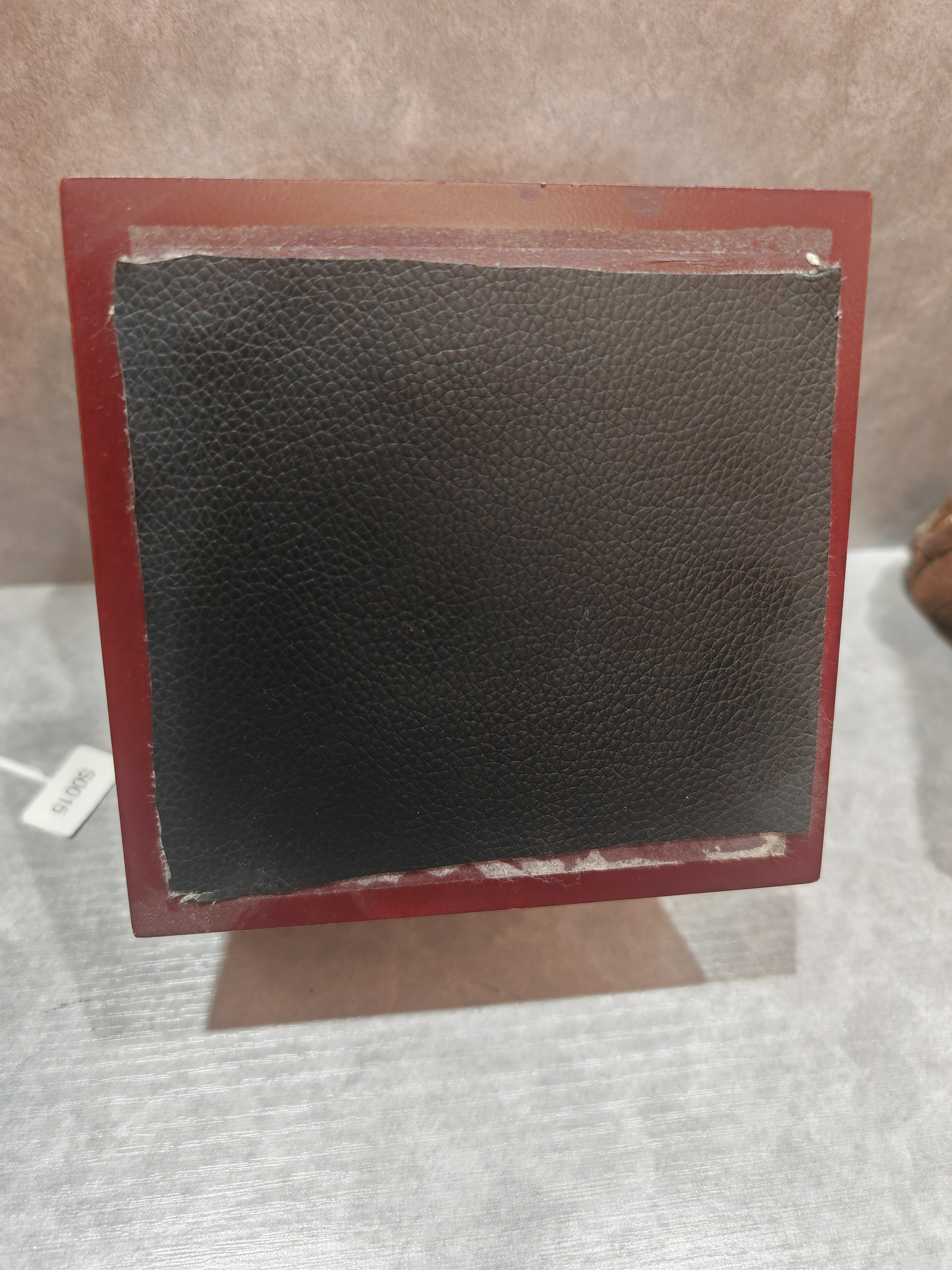 古生物家居小摆件A01