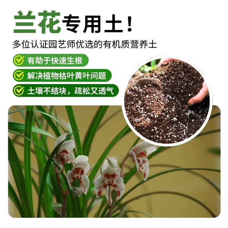 兰花植物兰科植物 专用土 小叶榔榆专用土