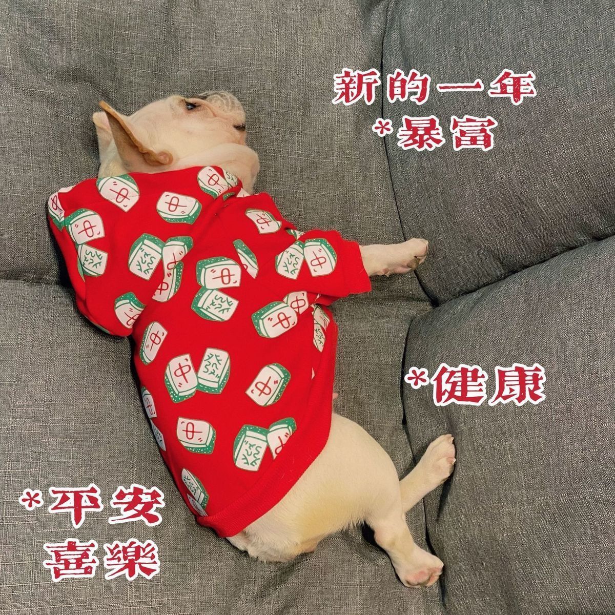 中小型犬麻将卫衣法斗衣服猫咪冬季秋冬冬天狗绒四脚加绒东北冬款