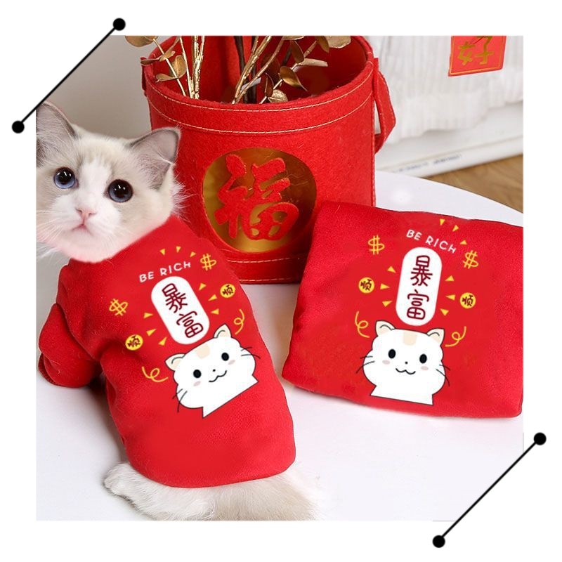 猫咪衣服秋冬款新年加绒加厚衣布偶猫喜庆过年卫衣招财福气国潮风