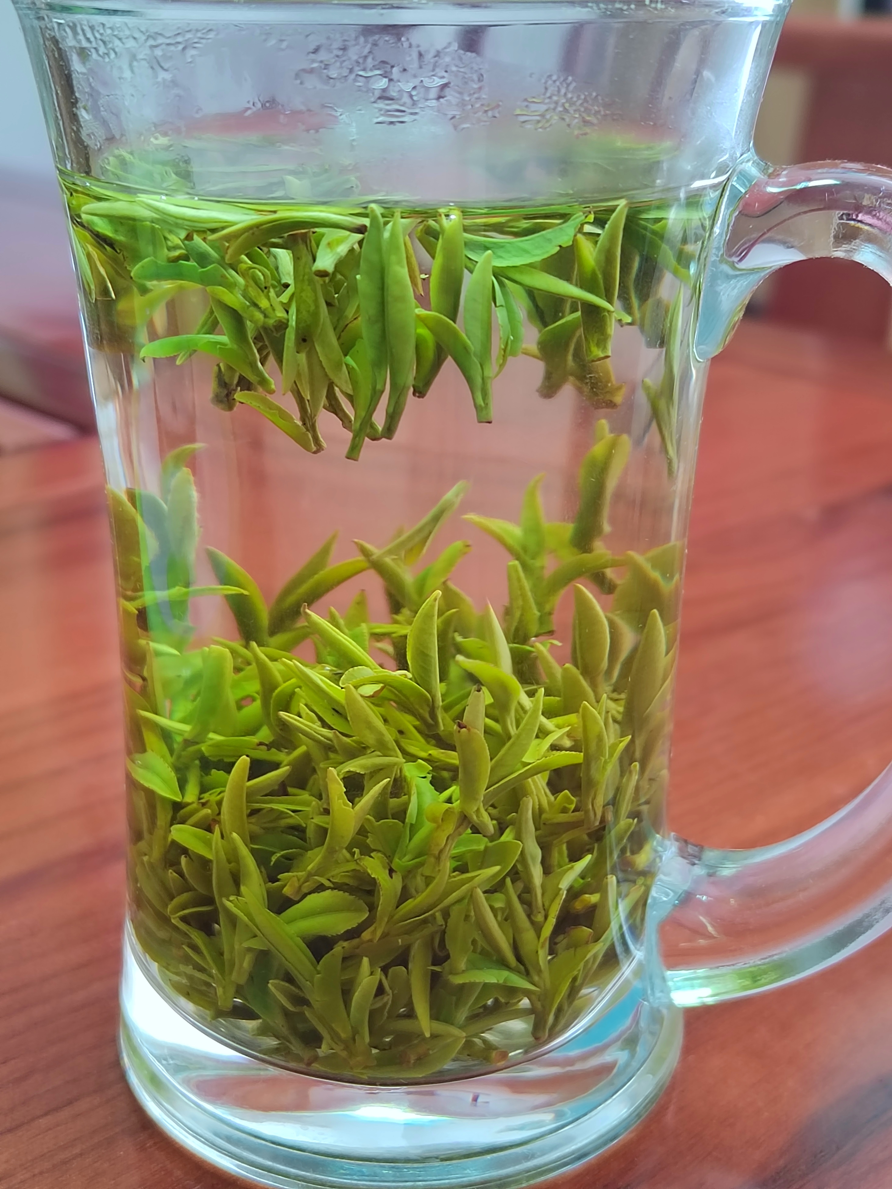 2025新茶上市了，岳西翠兰明前头茶好喝不贵经济实惠