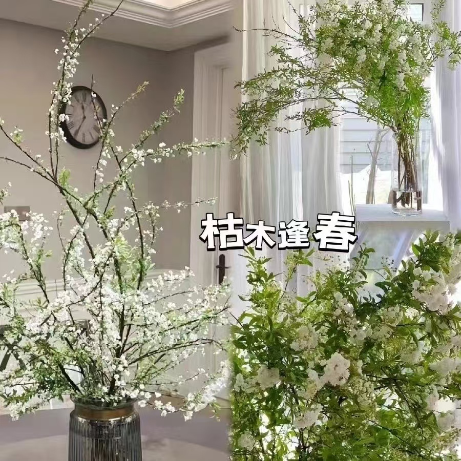 【带芽发货】鲜枝雪柳盆栽开花水培干枝遇水家居室内冬季耐寒花绿植商品图