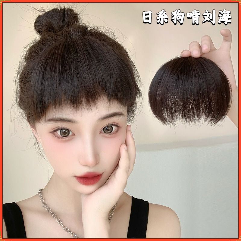 狗啃刘海全真发女真发自然前额刘海发片额头空气刘海片贴头发刘海