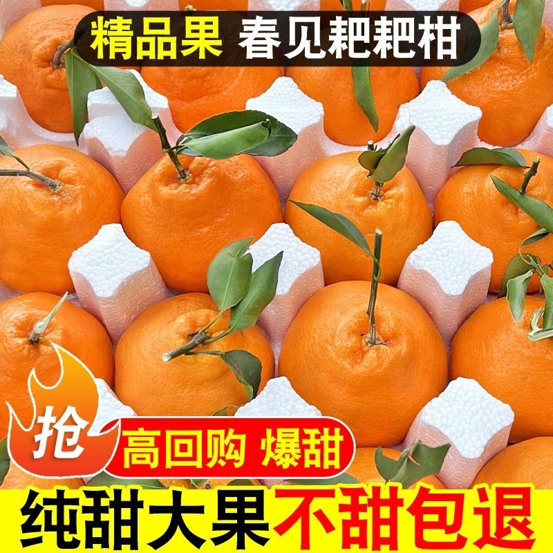 四川春见耙耙柑粑粑柑1-9斤橘子香甜当季整箱新鲜水果丑柑桔多汁