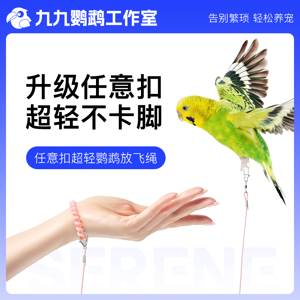 鹦鹉放飞绳玄凤鹦鹉户外遛鸟牵引弹力绳超轻不伤脚训练绳玄凤