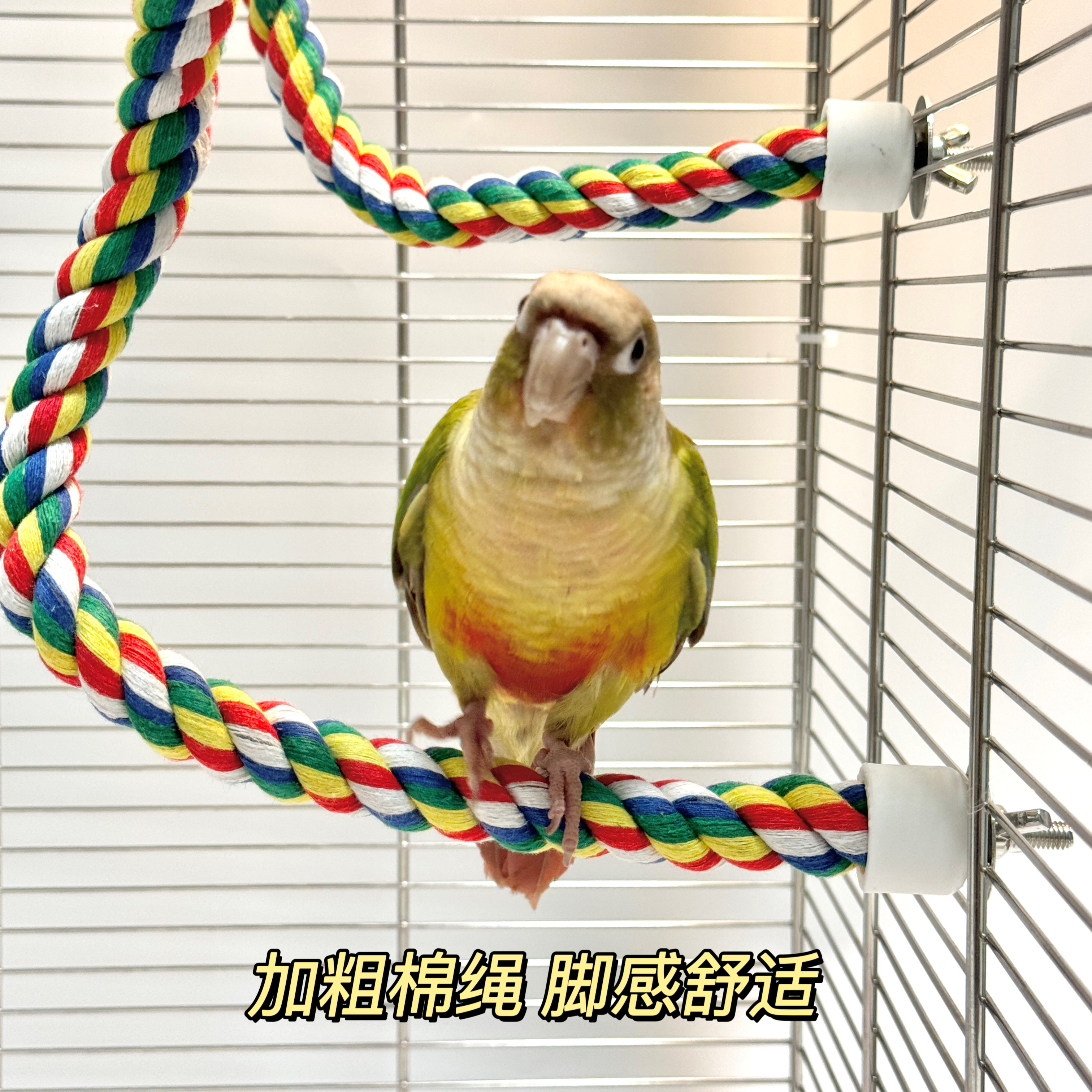 棉绳鸟玩具鹦鹉攀爬绳攀爬绳螺旋爬梯吊环吊绳牡丹玄凤玩具全套