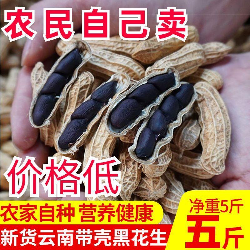 新货黑花生带壳生自然晒干黑皮花生黑花生米5斤1斤装