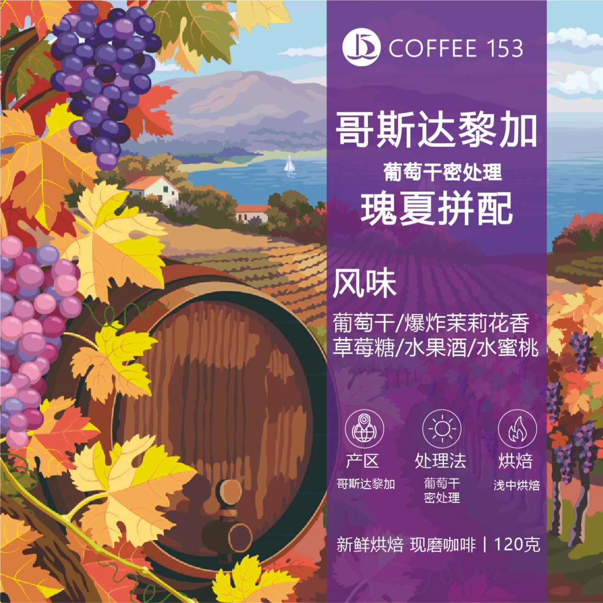 【咖啡153】哥斯达黎加 瑰夏拼配 葡萄干密处理  新鲜咖啡豆