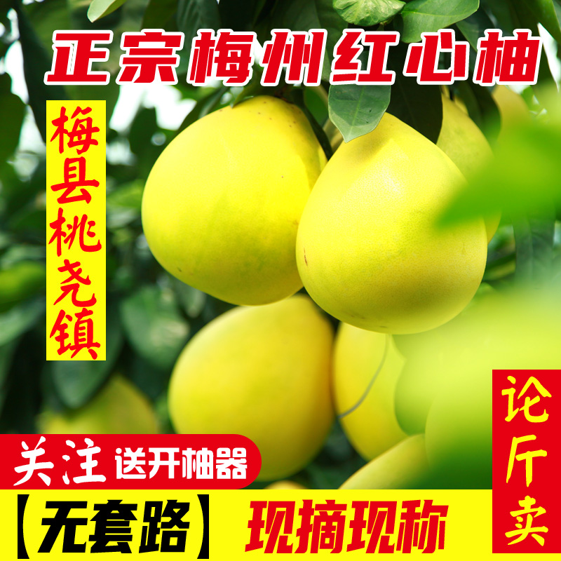 【大果链接！论斤卖！】正宗梅州蜜柚红心柚梅县三红柚子红肉应季水果