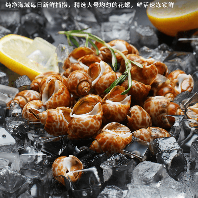 【冰冻花螺★1个小时到家】 美味冰冻花螺500g 好吃不贵  方欣盼盼