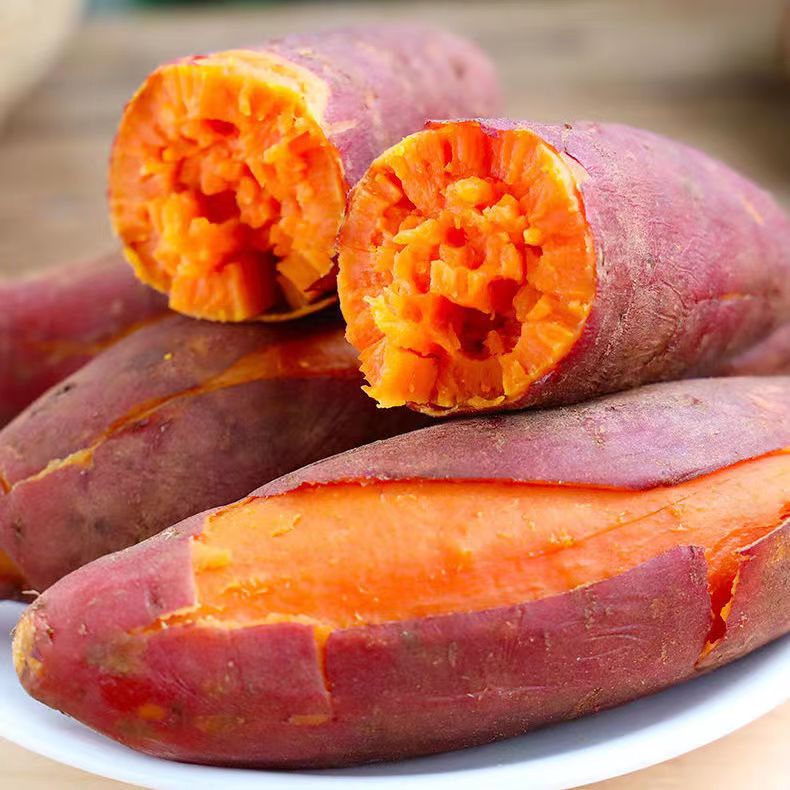 【坏果包赔】河南好吃新鲜的沙地蜜薯西瓜红红薯产地直销5斤装香甜