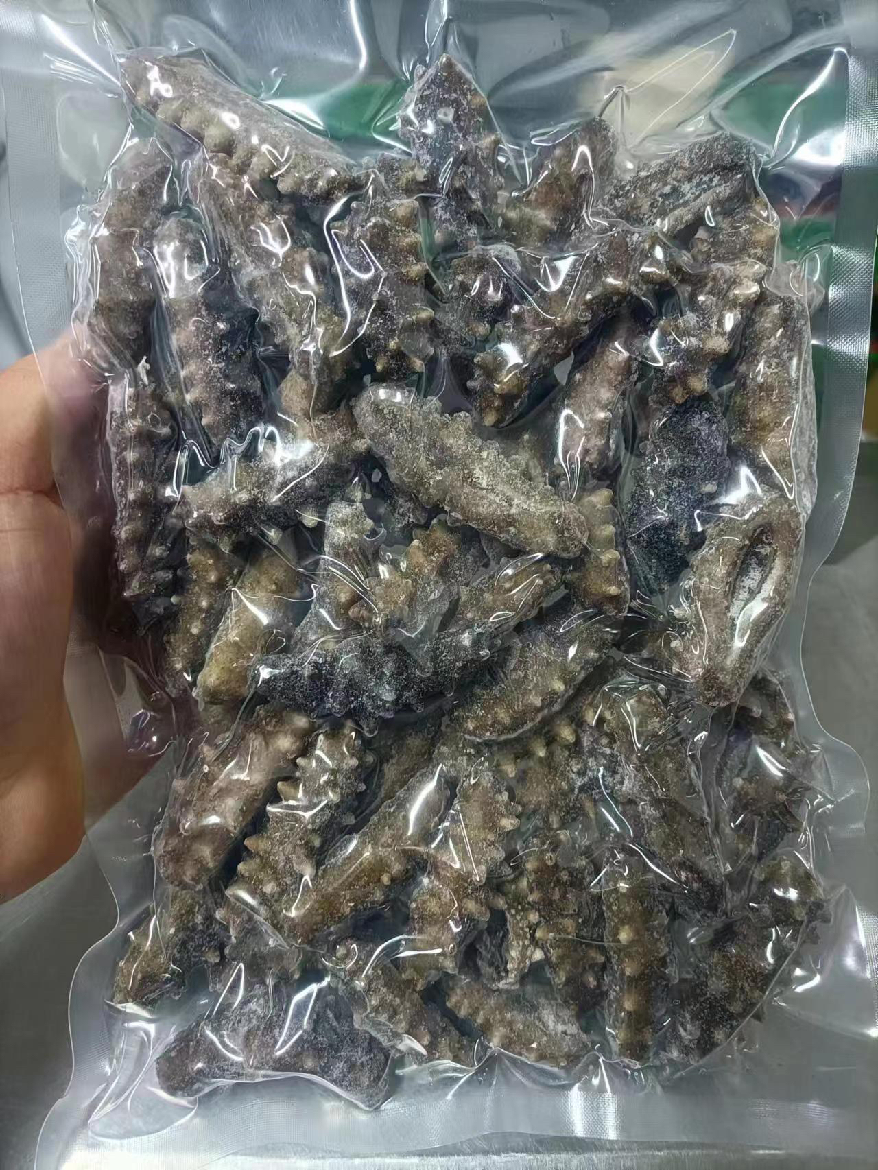 鲜食海参一斤50头 【奔跑的吃货吖专属】