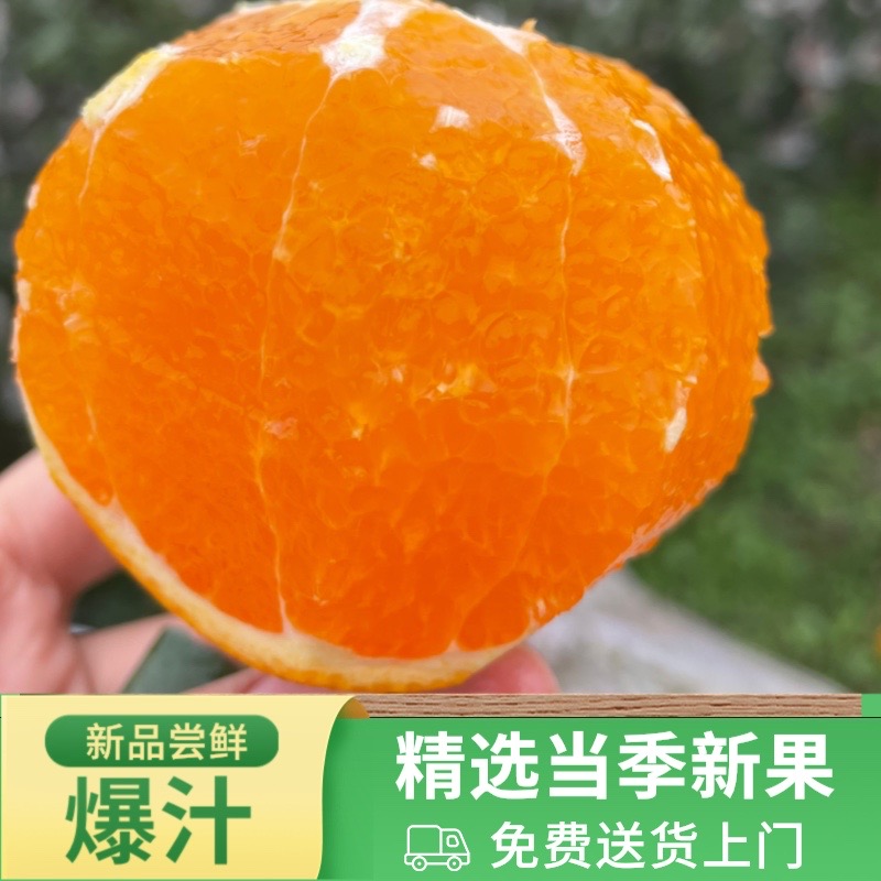 四川爱媛38号果冻橙新鲜细嫩多汁爽口优质香甜