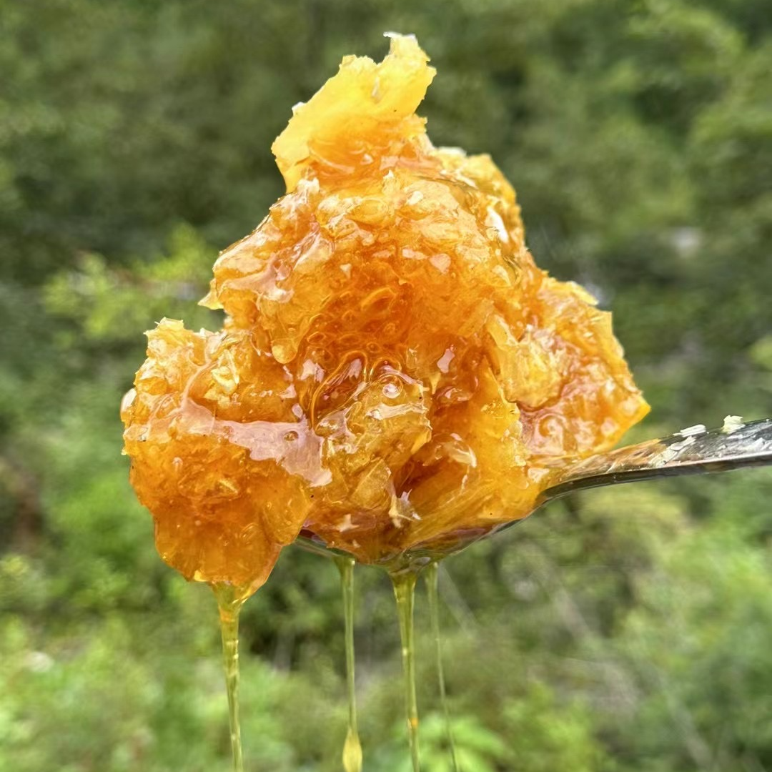 【西藏墨脱下山货蜂蜜】