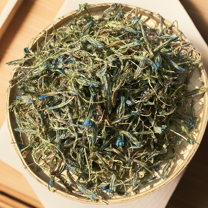 【西藏高海拔野生龙胆花】