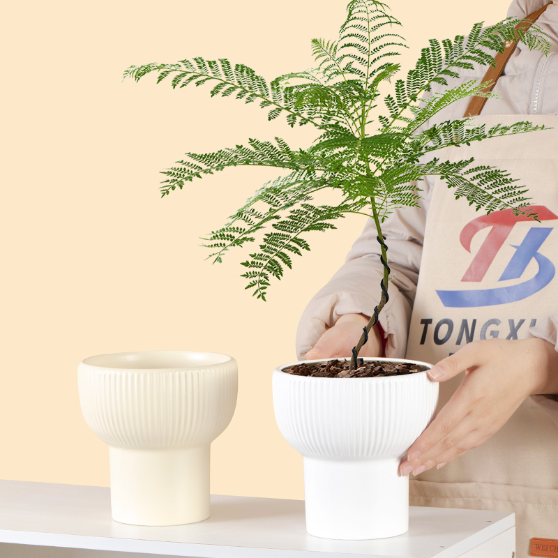 陶瓷花盆新款简约风天堂鸟虎皮兰蝴蝶兰专用绿植盆清仓处理大口径
