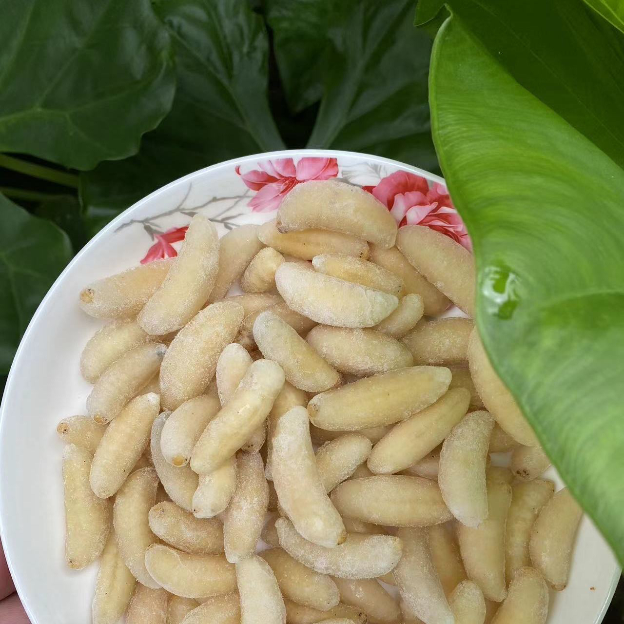 精品野生虎头蜂一级二级四级蜂蛹精选鲜活冷链天然高品质