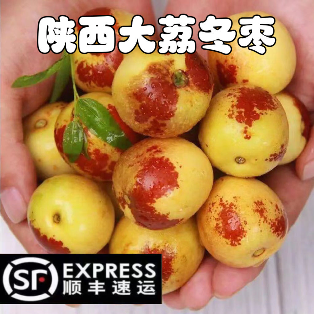 【顺丰包邮】【丰收季】冬枣皮薄肉厚脆甜2--5斤包邮陕西应季水果优质