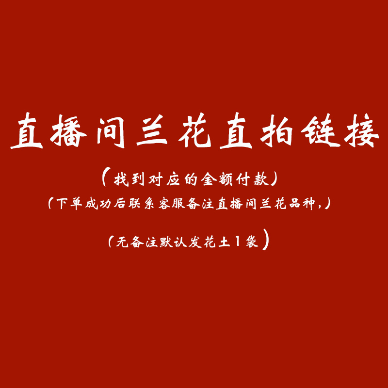 兰花直播间一物一拍建兰春兰墨兰带花苞浓香室内花卉盆栽植物阳台