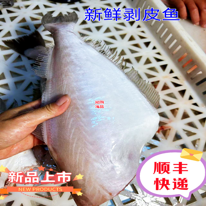 大号灰尾耗儿鱼 扒皮鱼冷冻马面鱼无冰剥皮鱼 橡皮鱼海鲜水产顺丰