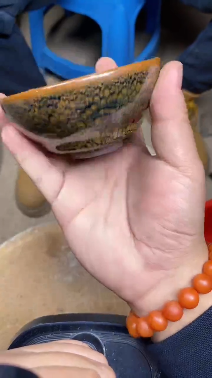 【闪购商品】瓷茶盏53廖设生@@LSS880