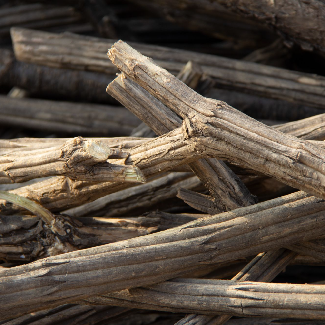 六道木降龙木登山杖